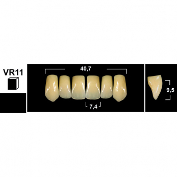 Tribos зубы акриловые, фронтальные верхние, фасон VR11, цвет D3, 6 шт.